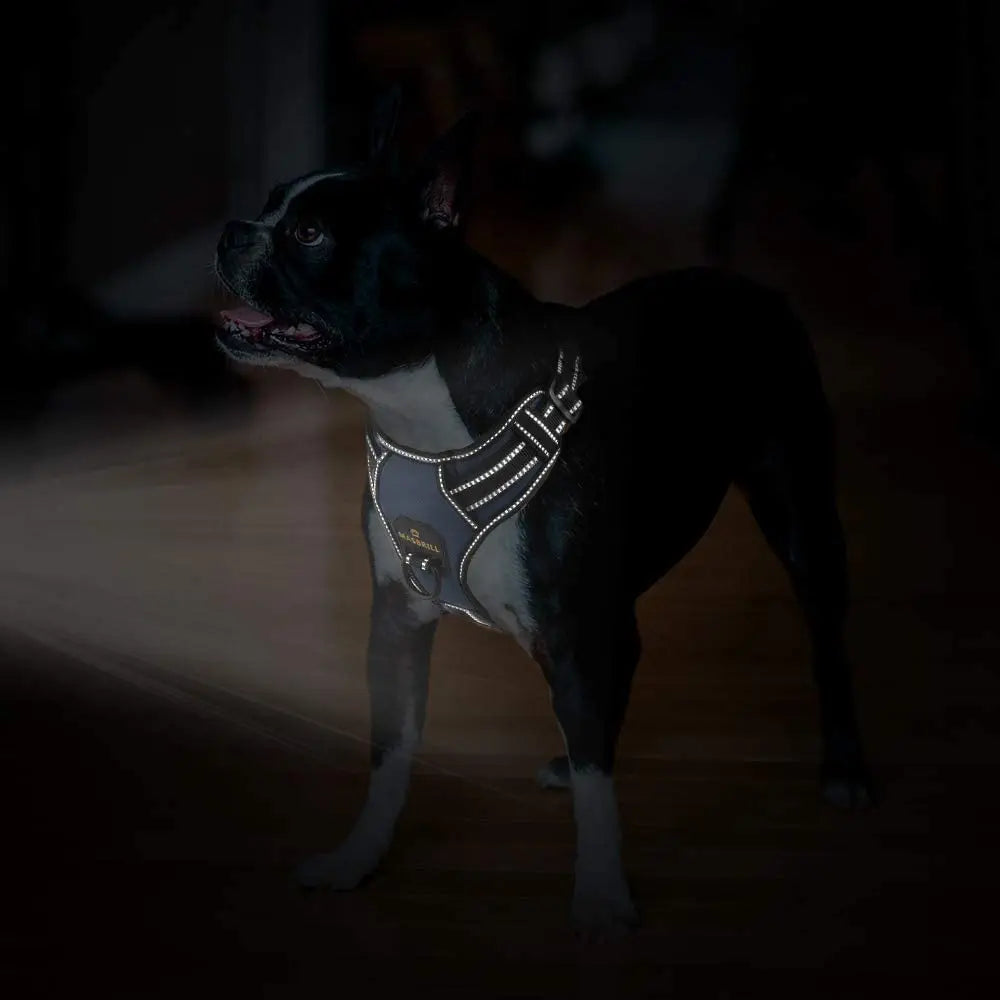 Dog Harness No Pull Breathable Reflective