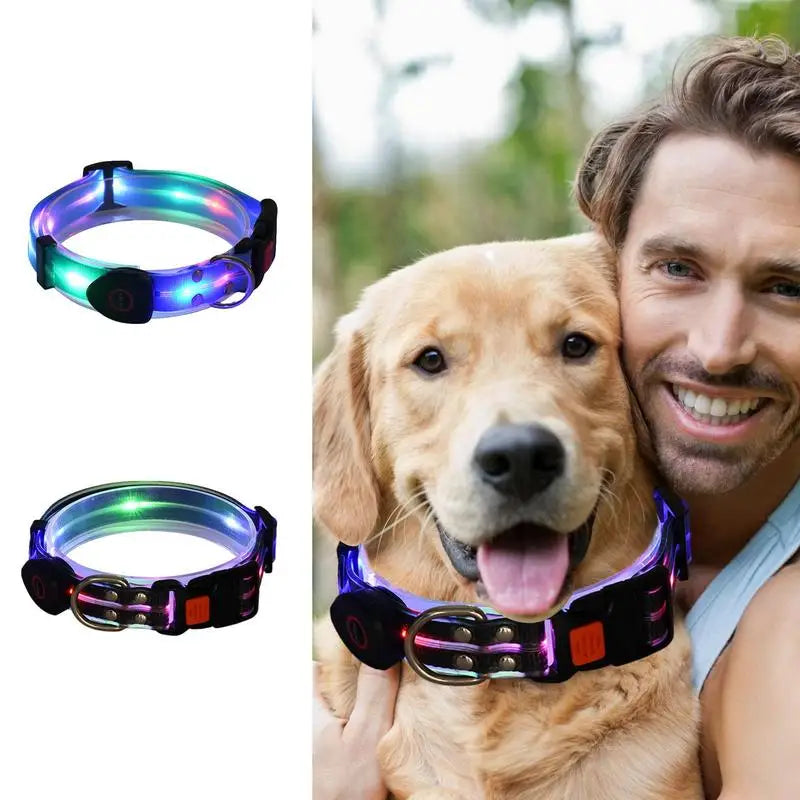 Glow in The Dark Dog Collar Adjustable Rechargeable Led Weather Proof