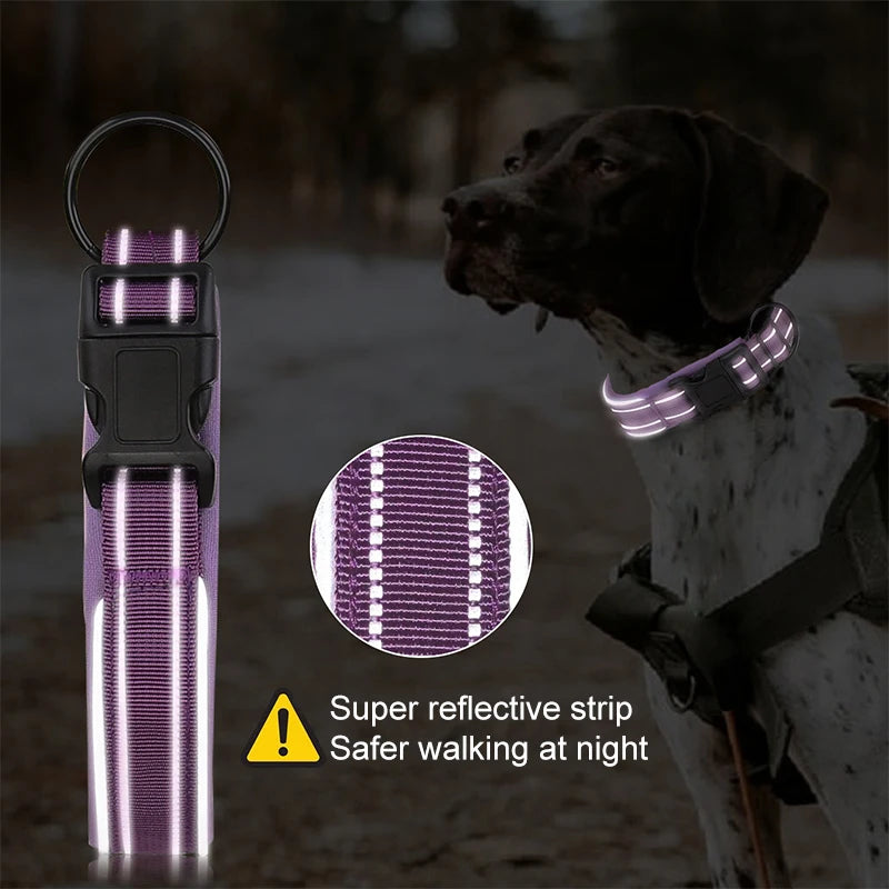 Removable Locating Pet Collar AirTag