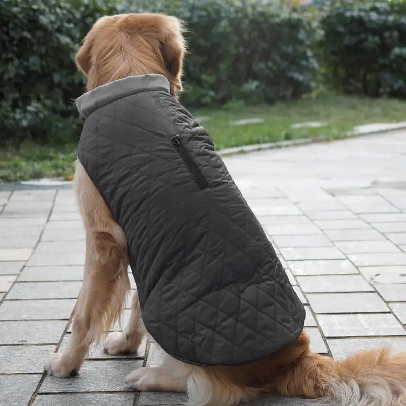 Waterproof Winter Dog Coat Reflective With Collar And Strap Hole