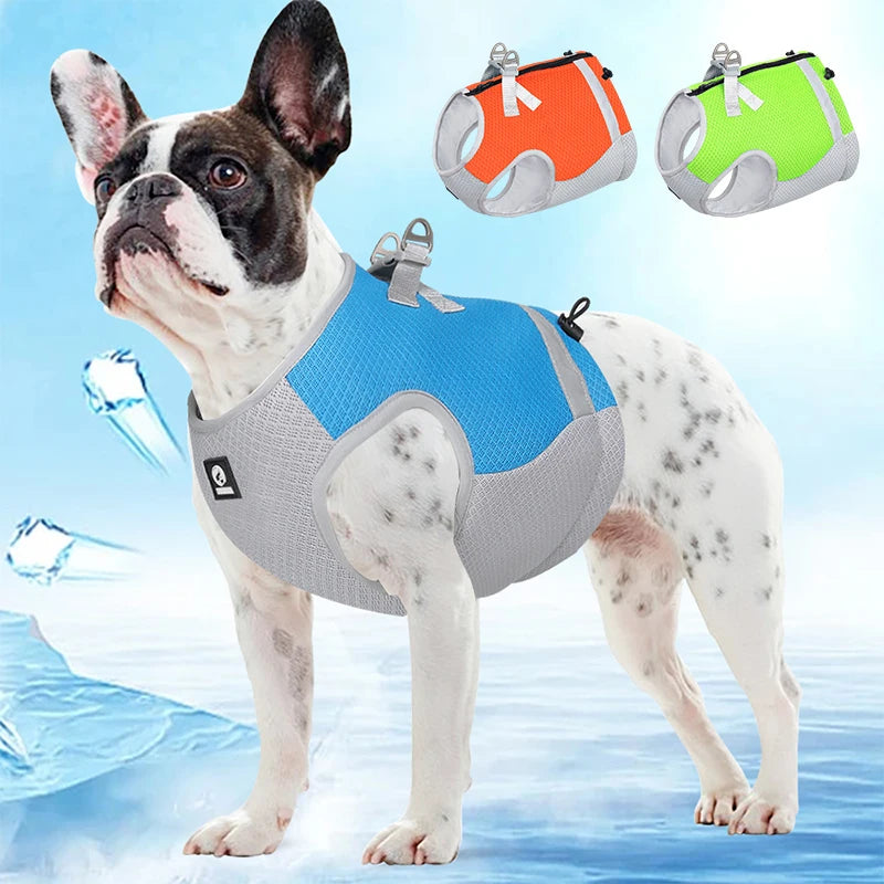 Dog Summer Cooling Vest