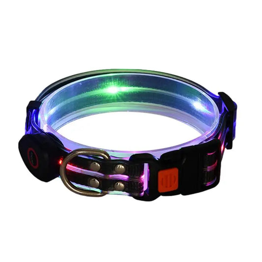 Glow in The Dark Dog Collar Adjustable Rechargeable Led Weather Proof