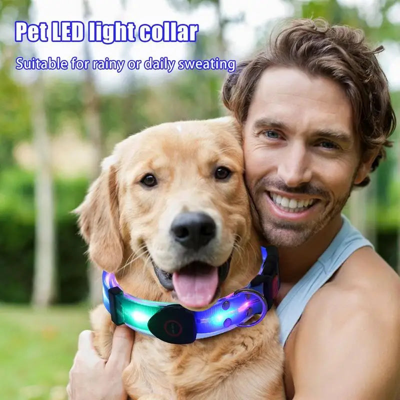 Glow in The Dark Dog Collar Adjustable Rechargeable Led Weather Proof