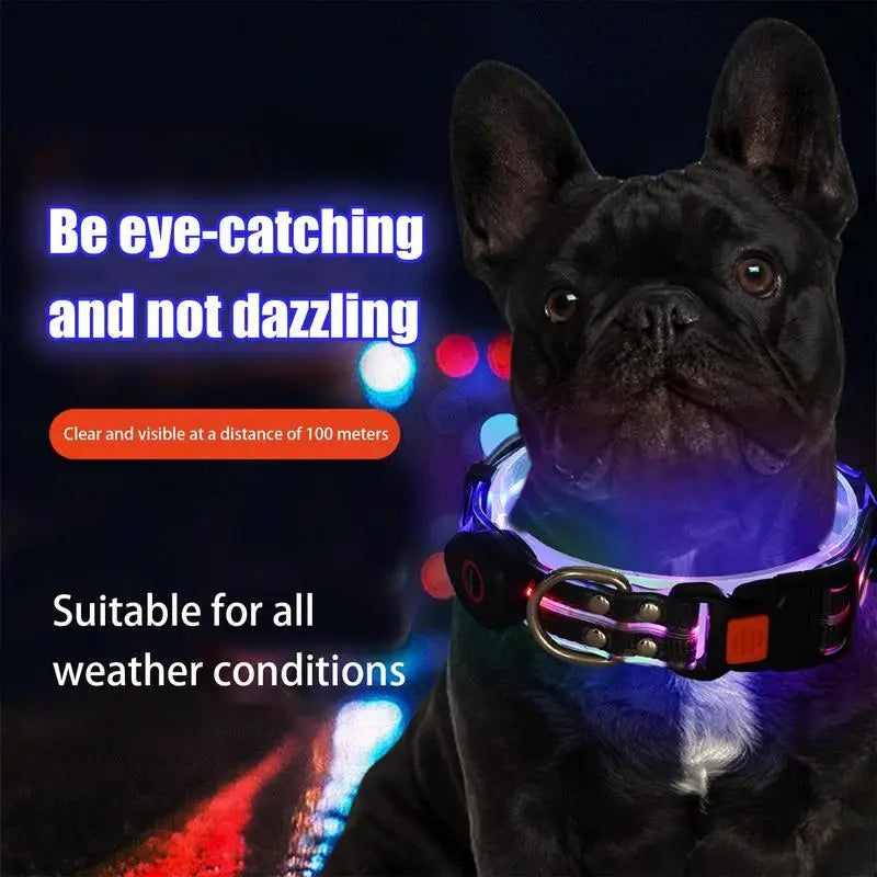 Glow in The Dark Dog Collar Adjustable Rechargeable Led Weather Proof